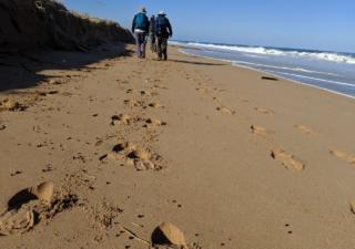 Enjoying the rugged wilderness on the Southern Ocean Walk